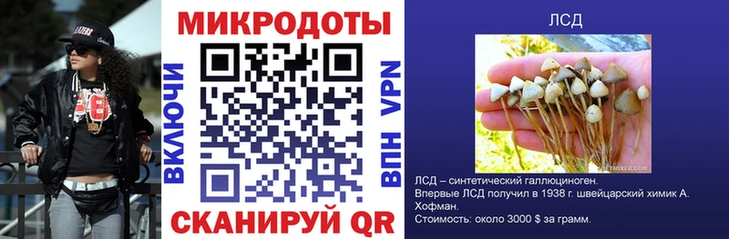 закладка  Берёзовка  Галлюциногенные грибы MAGIC MUSHROOMS 