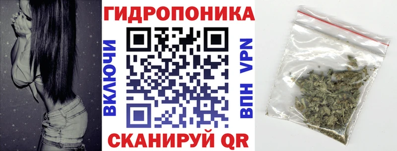 Шишки марихуана ГИДРОПОН Берёзовка